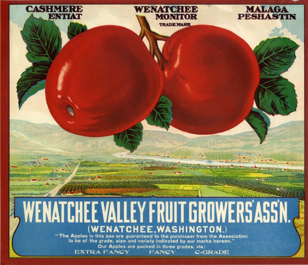 Painted image of two apples in front of landscape, with the label "Wenatchee Valley Fruit Growers Assn."